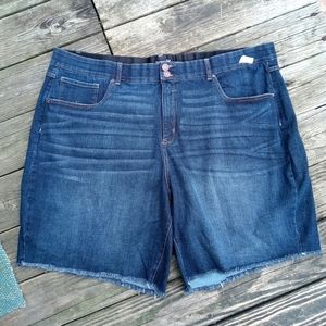 Terra and aky Denim Plus Shorts